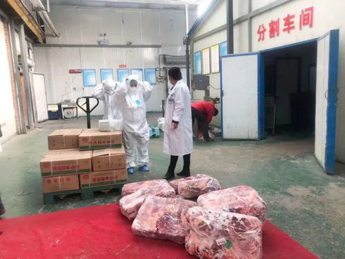 甘南开展肉制品生产专项监督检查