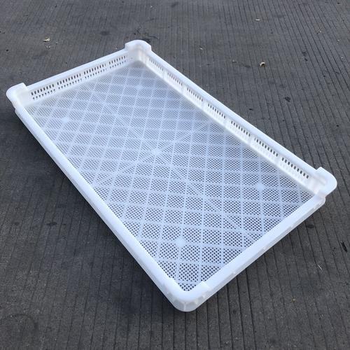 烘干盘 塑料耐低温冷冻盘晾晒盘单冻器食品厂可用塑料盘子
